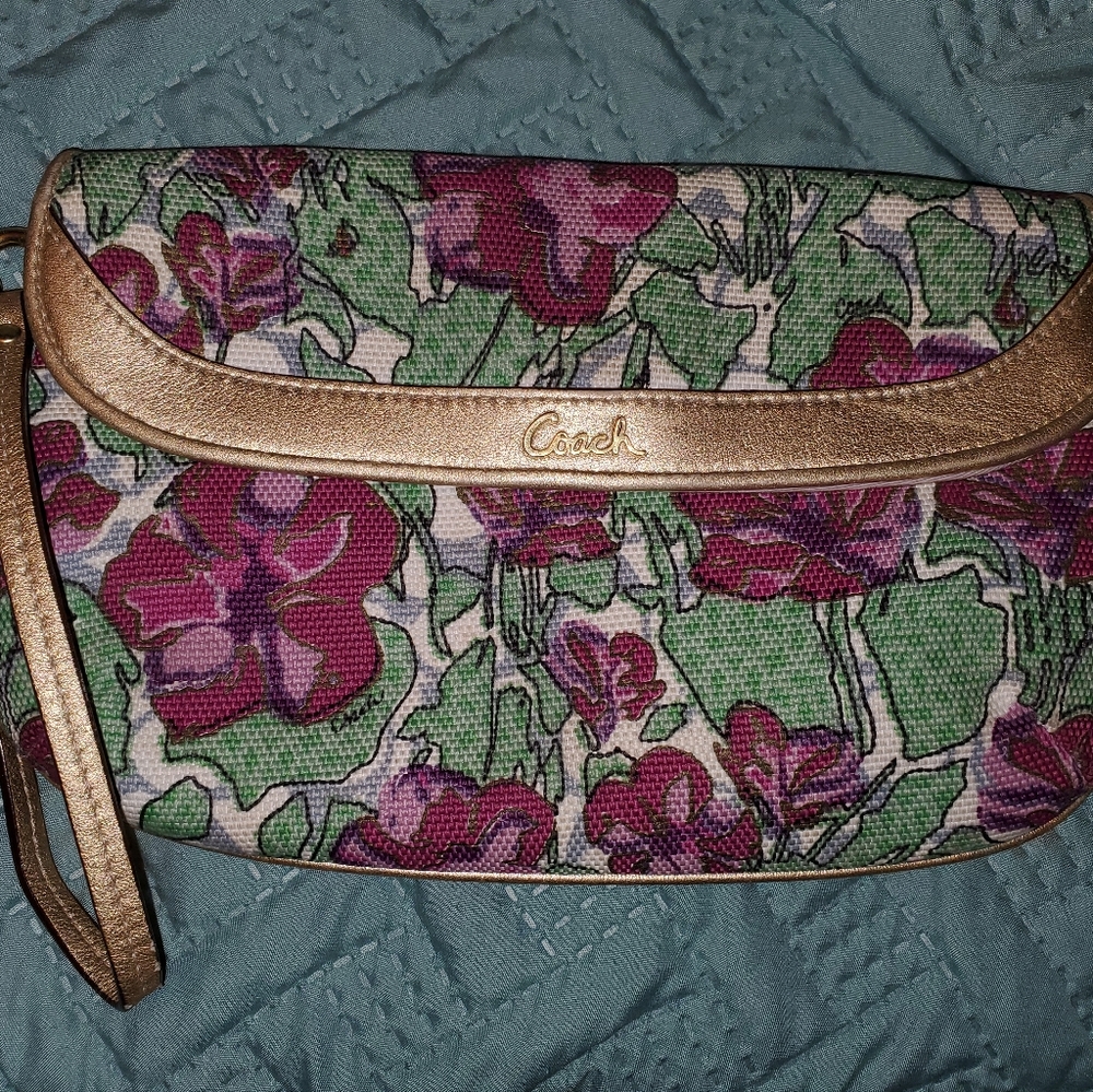 Ashley Iris Coach
